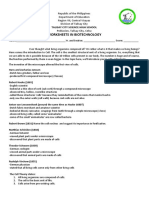 Worksheet On Cells