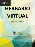 Herbario Virtual PDF