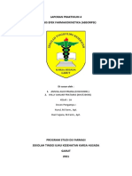 Laporan Praktikum 4 Analisis Efek Farmakokinetika (Absorpsi)