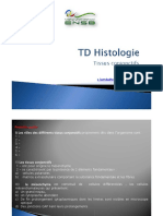 TD Histologie Tissu Conjonctif 2019