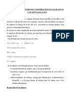 La Nutrición y Relación en Las Plantas Resumen Demostrativa