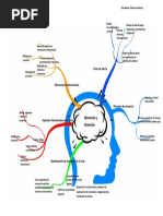 Mapa Mental Memoria y Atención