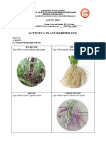 Activity 6 Plant Morphology Group 6 1