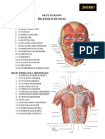 Must To Know Myologi Dan Topografi FKG 2021