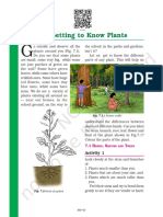 Getting To Know Plants: Activity 1