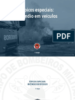 Tópicos Especiais-Incêndio em Veículos..