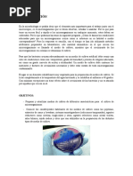 Informe Micro 3