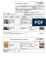 Inspección Virtual de Campo-InS-02 - Proyecto 271893