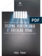 Sistema Penitenciário e Execução Penal by Mariel Muraro