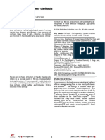 Pathogenesis of Liver Cirrhosis: © 2014 Baishideng Publishing Group Inc. All Rights Reserved