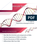 Module 5 Molecular Basis of Heredity