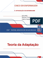 Teoria Da Adaptação 1