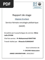 Rapport de Stage en Psychologie Clinique - Khaoula ELMAGHAT