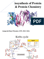 Biochemistry - Biosynthesis of Protein & Protein Chemistry