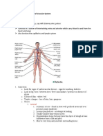 Assessment of The Peripheral Vascular System