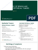 Lab 7-8 Epithelial Tumors-1