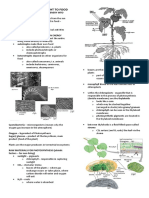 Photosynthesis: From Light To Food