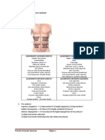 Anatomia Topográfica Do Abdome