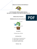 PERDIDA DE AGUA EN LAS PLANTAS Documento