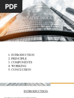 Breathe Brick: Done By: Aleena Vinoji Valliyam Thadathil