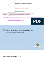 S7. Consumo de Glucosa en Aerobiosis