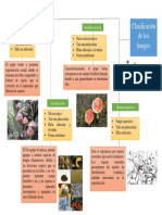 Mapa Conceptual 13-12-2021