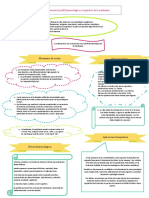 Mapa Conceptual