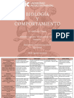 Act - 2.3 - Corcuera Giacoman MR - Andamio Cognitivo. de Los Primates A Los Humanos