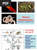 7 Platyhelminthes