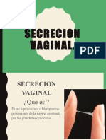 Secrecion Vaginal 110 0