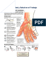 SIAHO - Síndrome Del Túnel Carpiano Cartelera