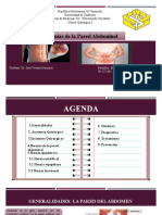 Hernias Abdominales