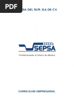 Curriculum Sepsa Del Sur 2021 V 2