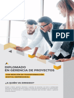 Dip Gerencia de Proyectos