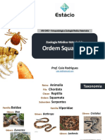 Aula 16 - Ordem Squamata (Zoologia Medico-Veterinária)