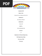 Assignment 2 (Chemical Process Industies)