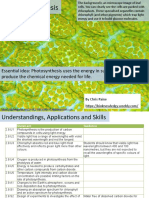 BioK 2.9 Photosynthesis