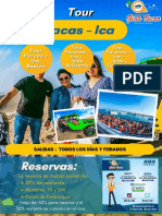 Paracas Ica