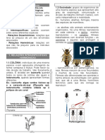 Resumo Relações Ecológicas