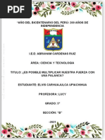 PDF Documento