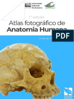 Atlas Fotográfico de Anatomia Humana