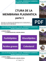 Estructura de La Membrana Plasmatica Parte 1