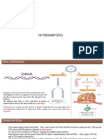 Transcription: in Prokaryotes