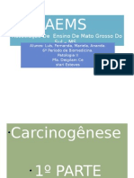 Carcinogêneses P01