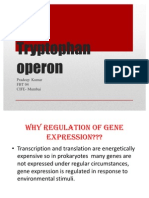 TRP Operon Presentation