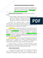 Fichamento - O Estudo Das Formas Da Cidade