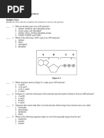 Bio 10 Chapter 8 Study Test 10-11: Multiple Choice