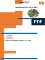 Situation Phytosanitaire de La Vigne