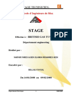 Rapport de Stage 2008 HEDI ENIS