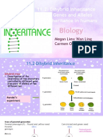 11.2) Dihybrid Inheritance 11.3) Genes and Alleles 11.4) Inheritance in Humans